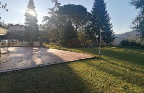 Le camelie - Foto 14