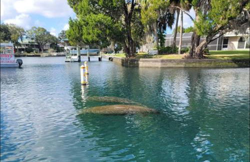 Charming Leesburg Cottage/Walk to HistoricDowntown - Foto 18