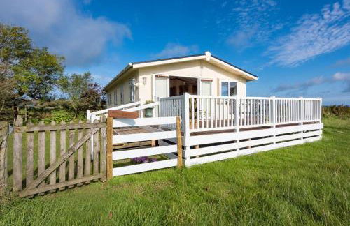 3 Bed in Dinas oc-lazyno - Photo 4