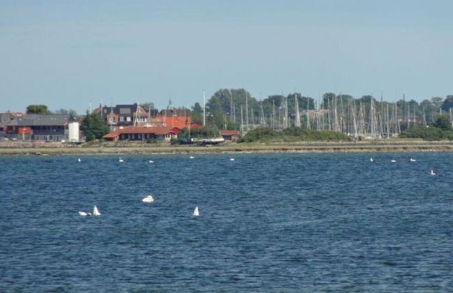 Studio in Ferienanlage Orther Reede - Foto 19