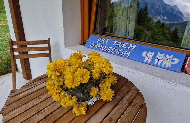 Soča Home With The View - Foto 68