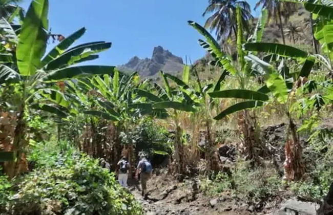 Praiano Aparthotel - Foto 49