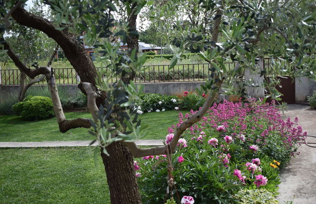 Apartments Mactra - Foto 26