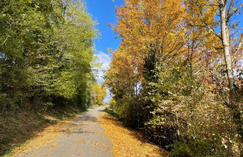 Ferienwohnung im Steinachtal - Foto 11