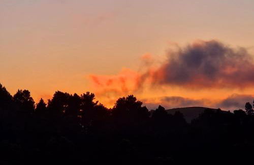 La Escuelita - Foto 42