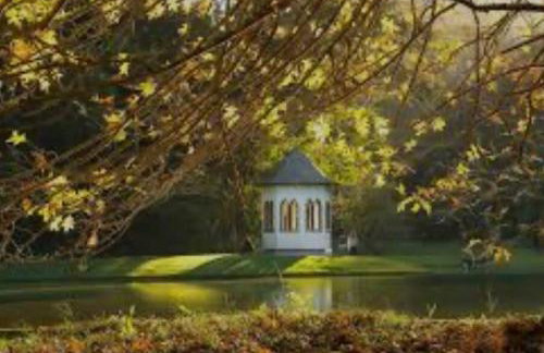 Refúgio na Serra Condomínio em Olaria, Nova Friburgo-RJ - Foto 63