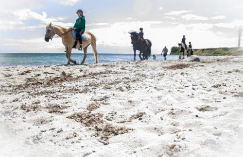 Meislahnhof Fehmarn - Foto 1