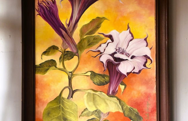 Papaya Dreams - Foto 7