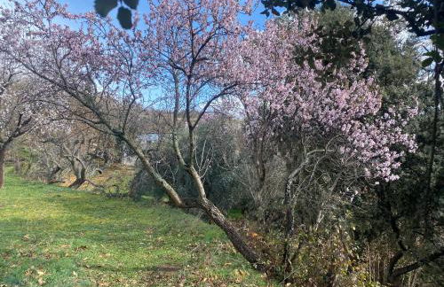 Mevak Home Alpujarra - Foto 29