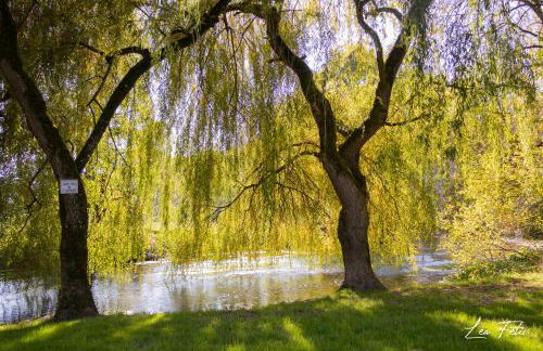 Mon havre de paix, Villa Campagne Charentaise - Foto 74