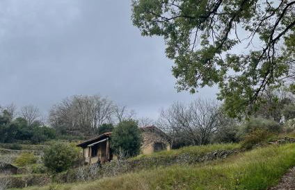 Vergel San Pedro - Foto 1