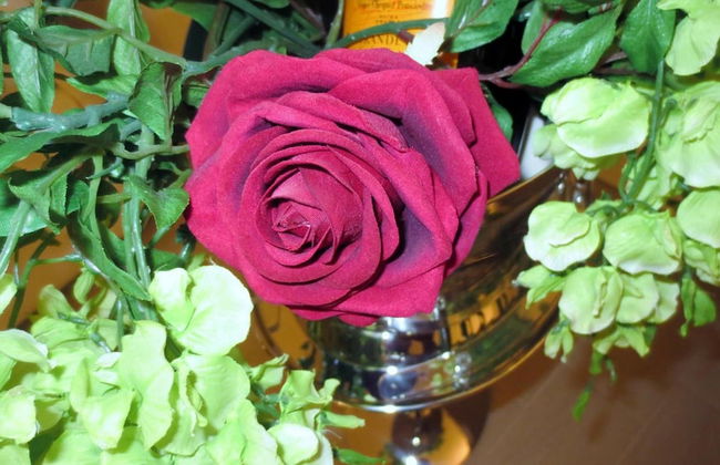 Masseria Corte Masseriola - Foto 35