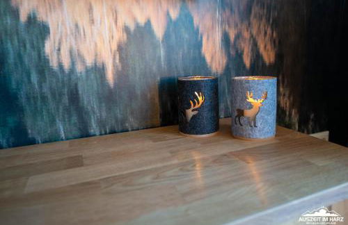 Auszeit-im-Harz Haus 5 Wohnung 24 - Foto 11