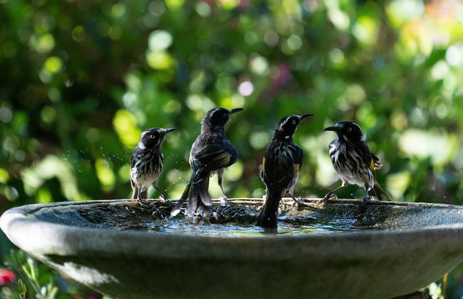 Noble River Estate - Photo 56