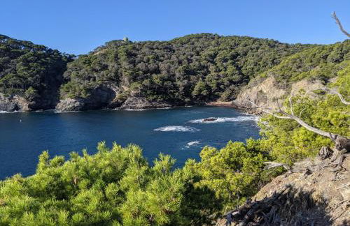 T3 avec terrasse, parking & piscine - Proche plages et randos - Le Mérou - Foto 17