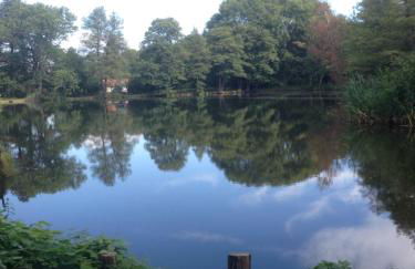 Ferienwohnung Ortrand - Pension - Foto 40