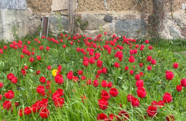 Chata Smarzewo - Foto 19