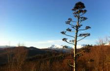 Agriturismo Bellavista - Foto 30