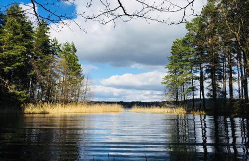 Sosnowy Zakatek - Foto 36