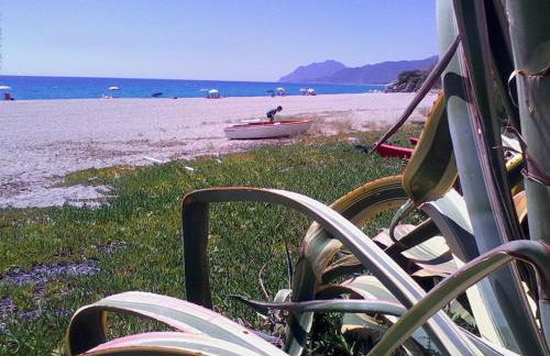 Vista Torre 4 - Foto 27