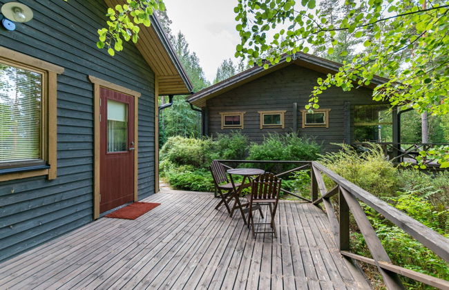 Metsä-iivari - Foto 20