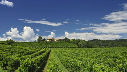 Agriturismo Moro Barel - Foto 2