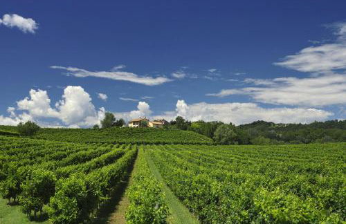 Agriturismo Moro Barel - Foto 2