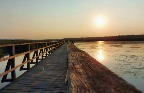 Gemütliche Wohnung am Federsee - Foto 17
