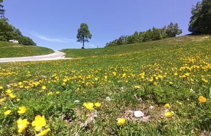 Attico Stella Alpina - Foto 33