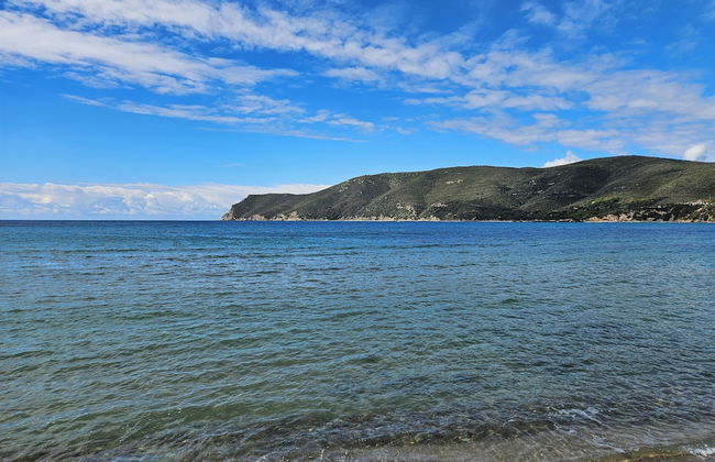 Camping Lacona Pineta - Photo 12