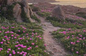 Da Marta Appartamento VISTA MARE MOZZAFIATO ISOLA ROSSA - Foto 25