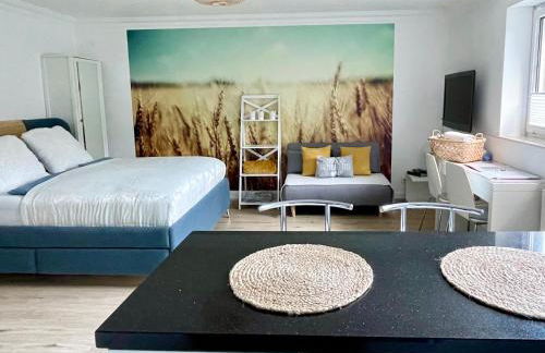 FeWo Studio 'Ein Bett im Kornfeld', Küche, 30qm, Souterrain - Foto 6