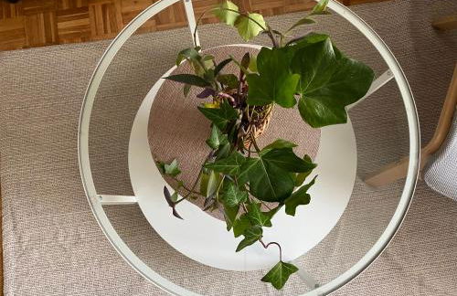 Puerta al cielo Suite - Foto 7