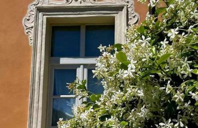 Suite Dudley - Castello di Pallerone - Foto 7