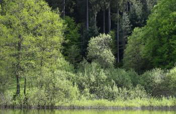 Design House In Black Forest Near Baiersbronn - Photo 27