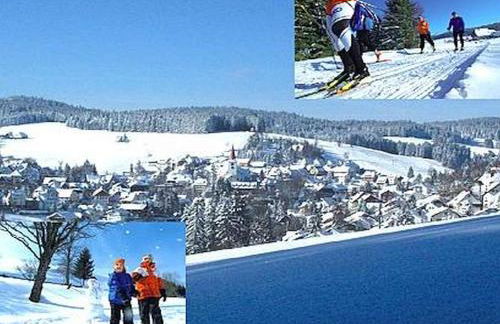 Appartmentvermietung Terrassenpark Schonach - Foto 15