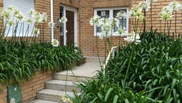 Casa Praia Ofir - Foto 3