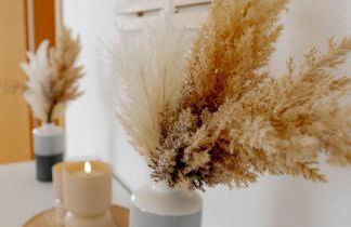 AlzBlüte - Photo 27