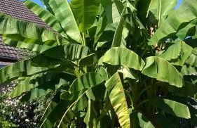 Apartment Meyerhof - Foto 7