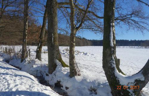 Ferienhaus Quick's Cottage - Foto 17