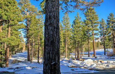 Amazing Gem Next to golf course with View- Pool & jacuzzi - Foto 23