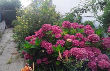 Grande maison vue sur mer - Foto 8