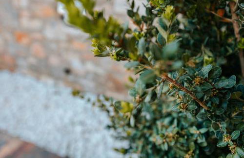 PELIONBLUE VILLAs - Foto 41