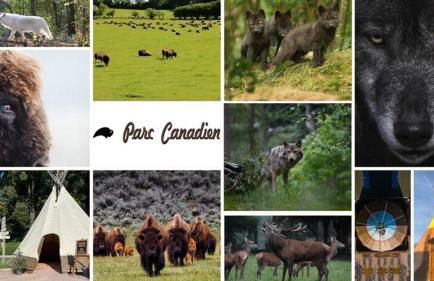 L'Eucalyptus - Foto 54