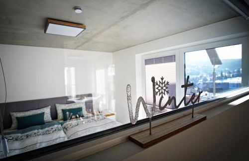 Apartments Patzina NEU 2024 - Kurort Oberwiesenthal - Foto 8