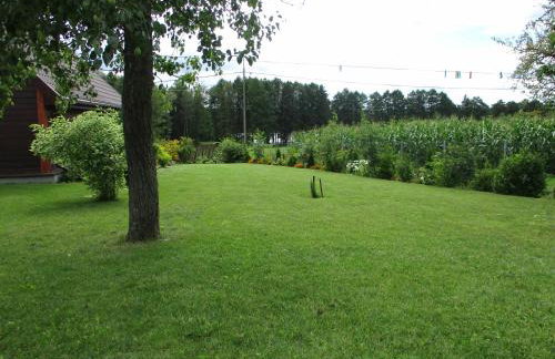 Hubertówka - Foto 44