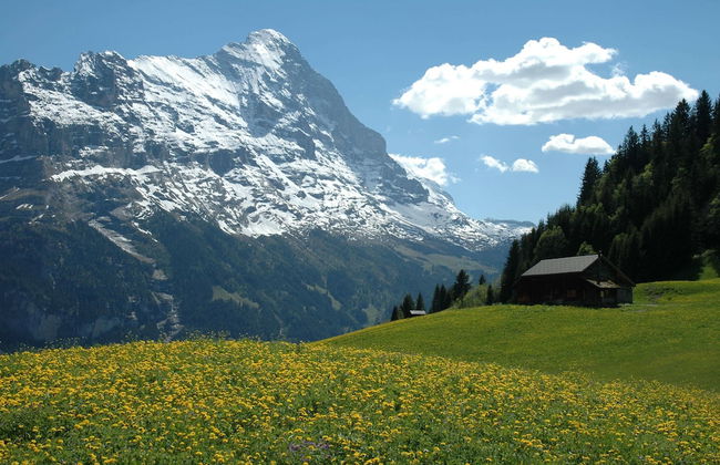 Chalet Miravalle - Foto 44