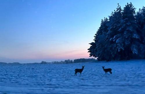 ACTIVFARM DOMKI NA KASZUBACH Domek Piotruś - Foto 6