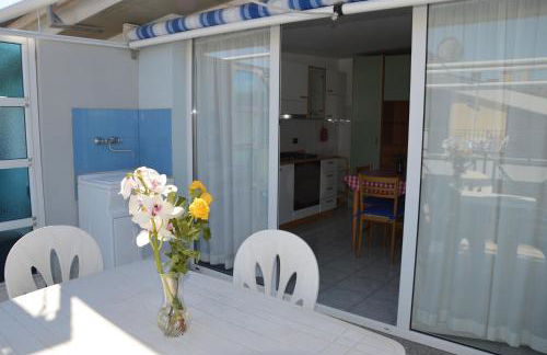 Mono Rosburgo 1 - Foto 13