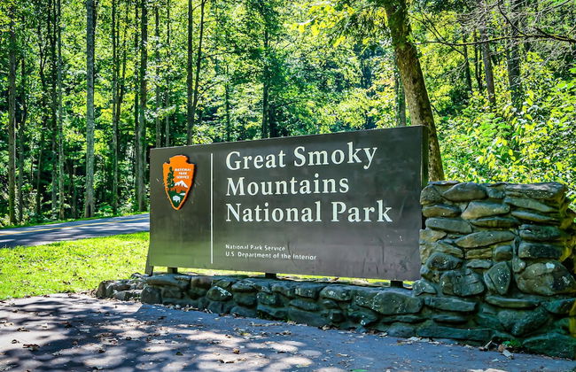 Bearly Gnomey - Foto 24